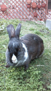 201009301705000.jpg