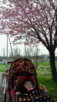 201205091054000.jpg