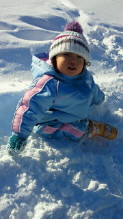 201212281103000.jpg