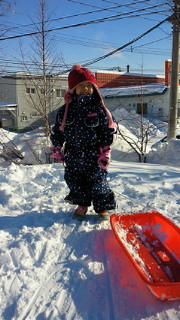 201212281103001.jpg