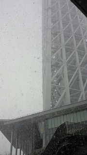 201301141227000.jpg