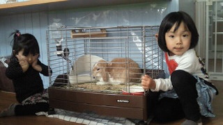 201312251419000.jpg
