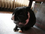 DSCN2418.JPG