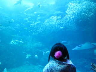 IMG_2116.JPG