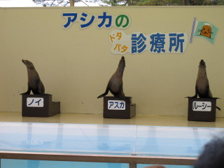 IMG_3181.JPG