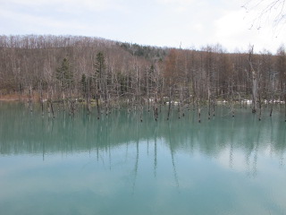 IMG_5407.JPG
