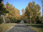 SSCN02536.JPG